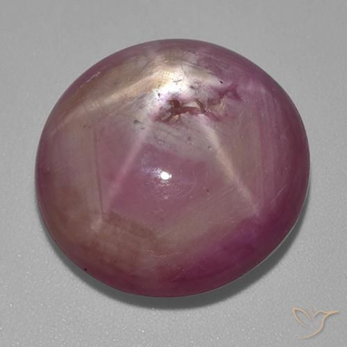 31.80ct Naturel Pourpre moyen-léger Rubis étoilé, ovale, Opaque