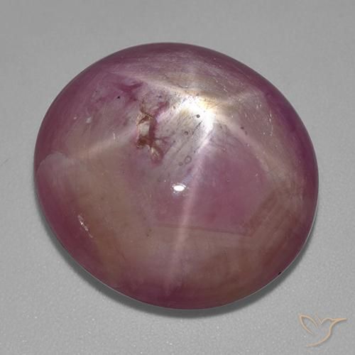 Rubis étoilé Pourpre moyen-léger naturelle ovale, 31.80 ct, Opaque