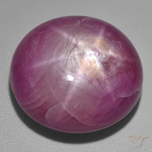 53.60ct Naturel Pourpre moyen-foncé Rubis étoilé, ovale, Opaque