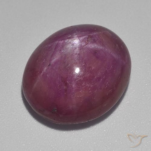 15.55ct Naturel Pourpre moyen-foncé Rubis étoilé, ovale, Opaque