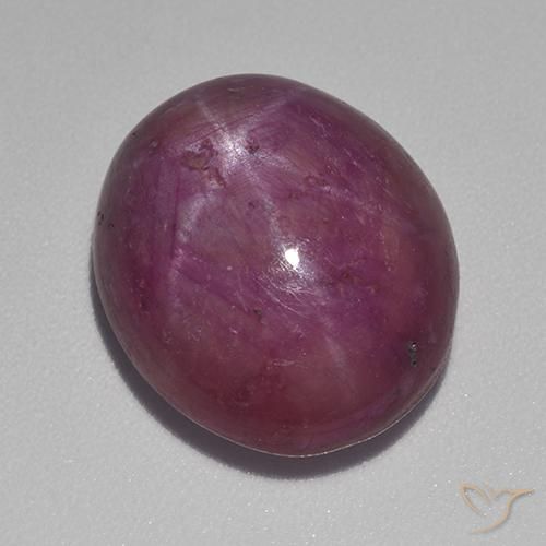 Rubis étoilé Pourpre moyen-foncé naturelle ovale, 15.55 ct, Opaque