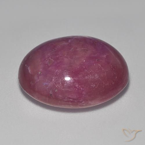 Rubis étoilé Pourpre moyen-foncé naturelle ovale, 15.55 ct, Opaque