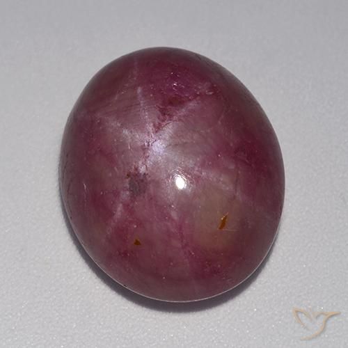 Rubis étoilé Pourpre moyen-foncé naturelle ovale, 14.78 ct, Opaque