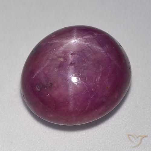 14.20ct Naturel Violet rougeâtre Rubis étoilé, ovale, Opaque