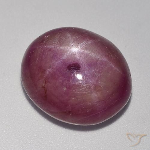 15.67ct Naturel Violet rougeâtre Rubis étoilé, ovale, Opaque