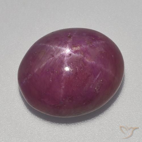 13.70ct Naturel Pourpre moyen-foncé Rubis étoilé, ovale, Opaque