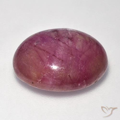 Rubis étoilé Pourpre moyen-léger naturelle ovale, 16.94 ct, Opaque