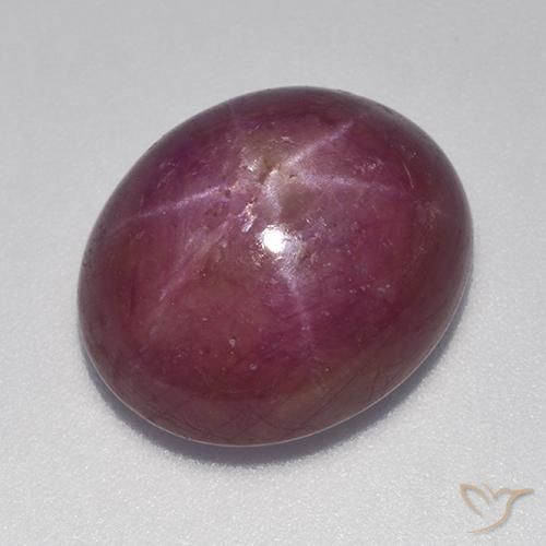 17.70ct Naturel Pourpre moyen-foncé Rubis étoilé, ovale, Opaque