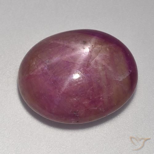 Rubis étoilé Pourpre moyen-foncé naturelle ovale, 15.00 ct, Opaque