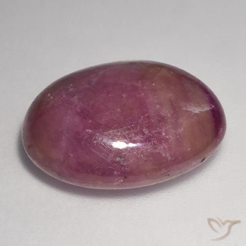 Rubis étoilé Pourpre moyen-foncé naturelle ovale, 15.00 ct, Opaque