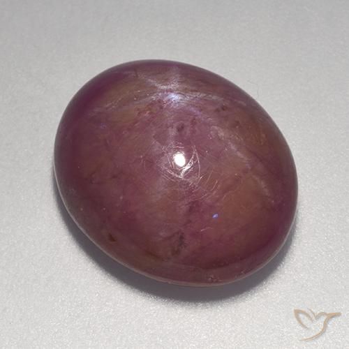 14.20ct Naturel Magenta grisâtre Rubis étoilé, ovale, Opaque