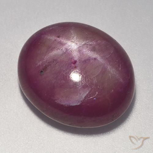 20.08ct Naturel Pourpre prune Rubis étoilé, ovale, Opaque