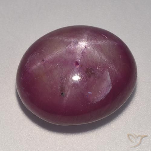 Rubis étoilé Pourpre prune naturelle ovale, 20.08 ct, Opaque