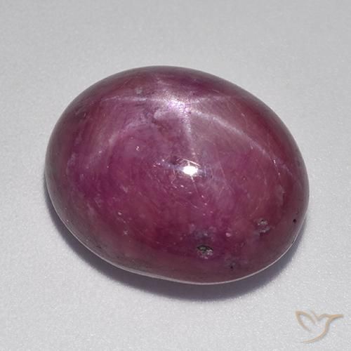 Rubis Étoilé Pourpre moyen-foncé naturelle Coupe ovale, 17.36 ct, Opaque