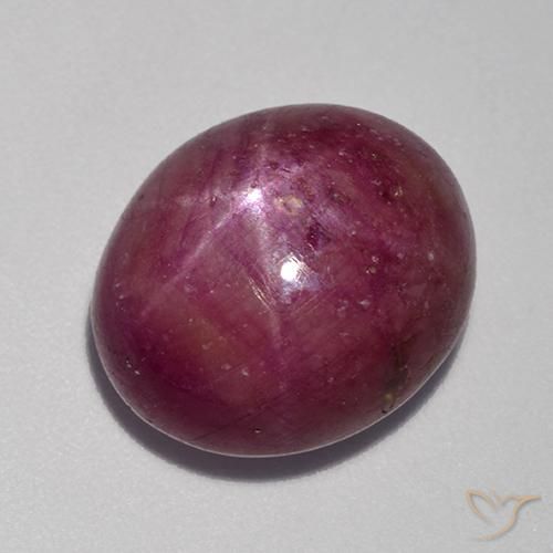 Rubis étoilé Pourpre moyen-foncé naturelle ovale, 14.52 ct, Opaque