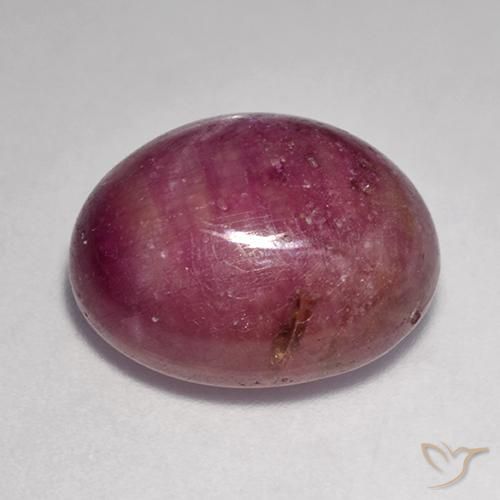 Rubis étoilé Pourpre moyen-foncé naturelle ovale, 14.52 ct, Opaque