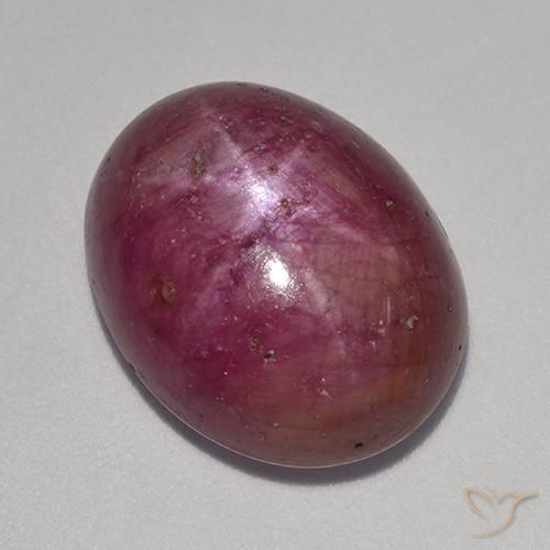 14.18ct Naturel Violet rougeâtre Rubis étoilé, ovale, Opaque