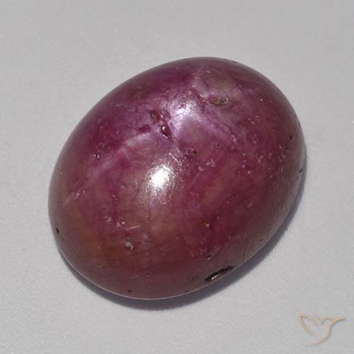 Rubis étoilé Violet rougeâtre naturelle ovale, 14.18 ct, Opaque