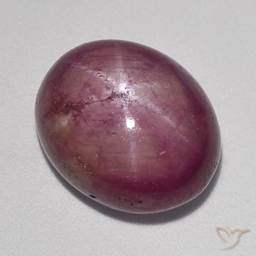13.63ct Naturel Pourpre moyen Rubis étoilé, ovale, Opaque