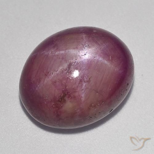 Rubis étoilé Pourpre moyen naturelle ovale, 13.63 ct, Opaque