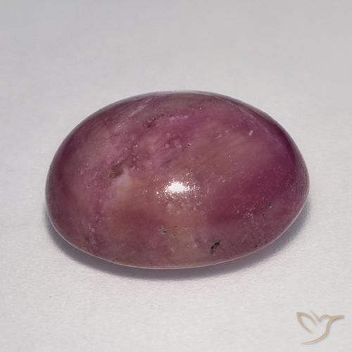 Rubis étoilé Pourpre moyen naturelle ovale, 13.63 ct, Opaque