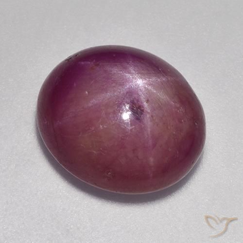 9.23ct Naturel Violet rougeâtre Rubis étoilé, ovale, Opaque