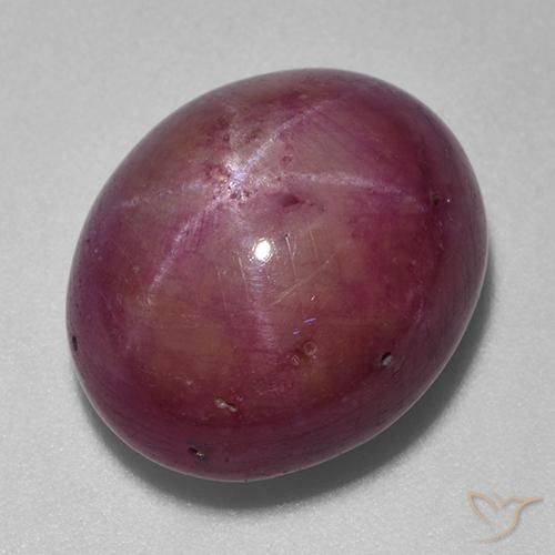 Rubis étoilé Pourpre moyen-foncé naturelle ovale, 18.74 ct, Opaque