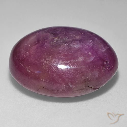 Rubis étoilé Pourpre moyen-foncé naturelle ovale, 24.29 ct, Opaque