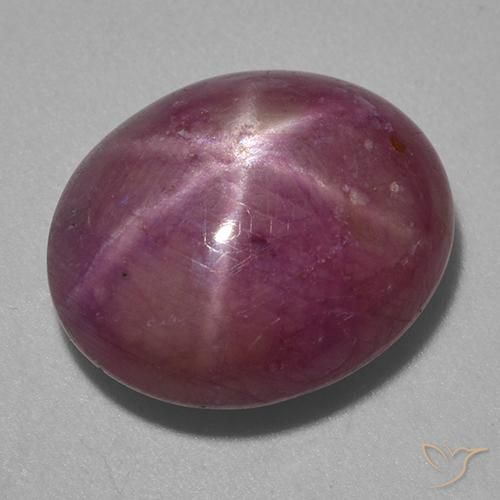 Rubis étoilé Pourpre moyen-foncé naturelle ovale, 13.87 ct, Opaque