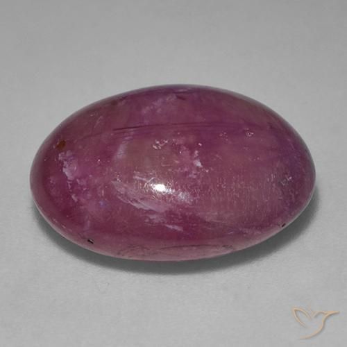 Rubis étoilé Pourpre moyen-foncé naturelle ovale, 13.87 ct, Opaque