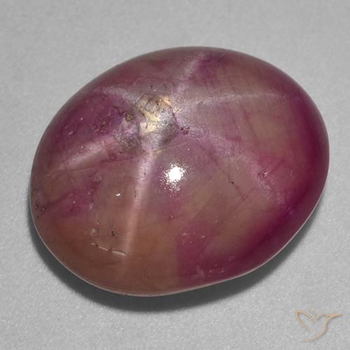 13.67ct Naturel Pourpre prune Rubis étoilé, ovale, Opaque