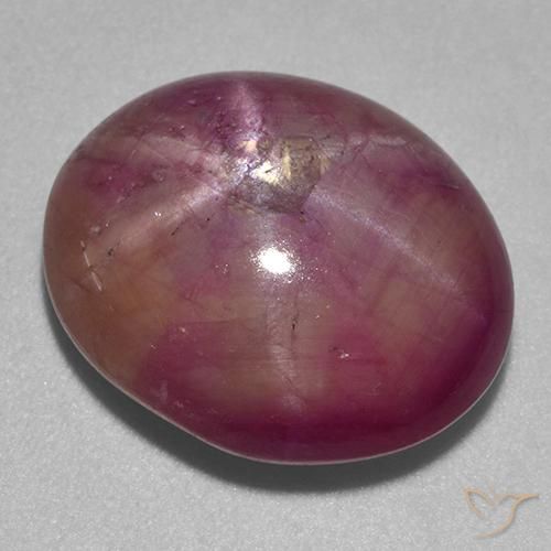 Rubis étoilé Pourpre prune naturelle ovale, 13.67 ct, Opaque