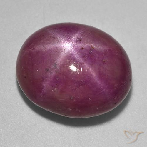Rubis étoilé Pourpre rougeâtre moyen-foncé naturelle ovale, 14.31 ct, Opaque