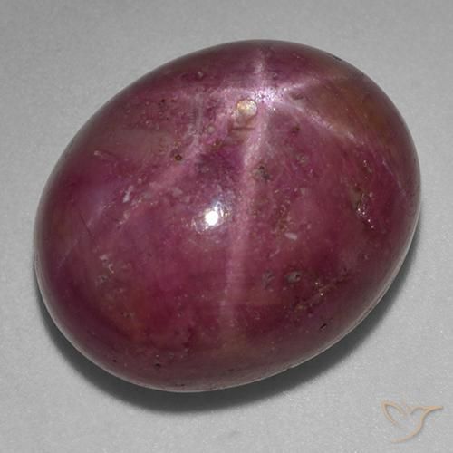 25.89ct Naturel Pourpre prune Rubis étoilé, ovale, Opaque