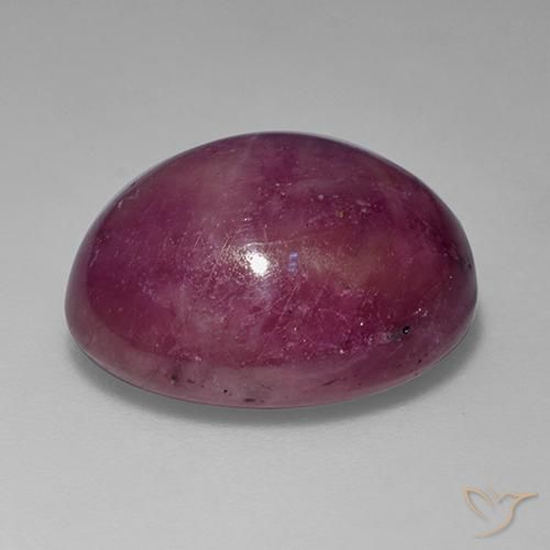 Rubis étoilé Violet Rosâtre naturelle ovale, 15.62 ct, Opaque