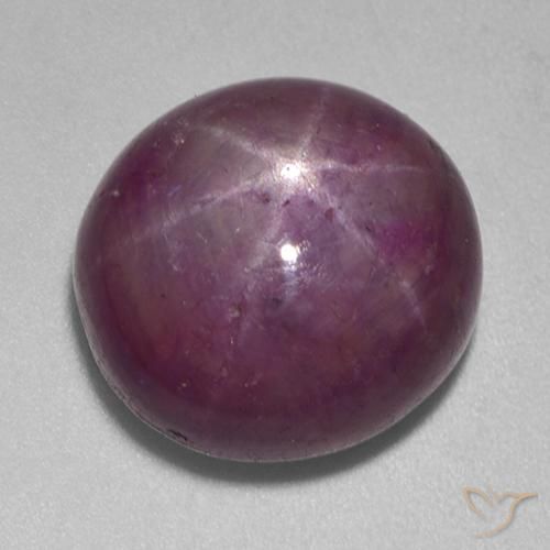 Rubis étoilé Pourpre prune naturelle ovale, 15.13 ct, Opaque