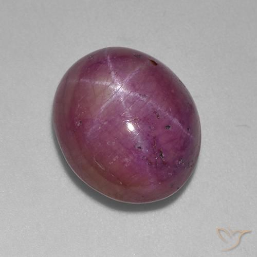 11.87ct Naturel Pourpre prune Rubis étoilé, ovale, Opaque