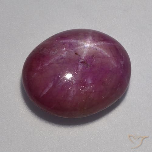 12.90ct Naturel Pourpre moyen-foncé Rubis étoilé, ovale, Opaque