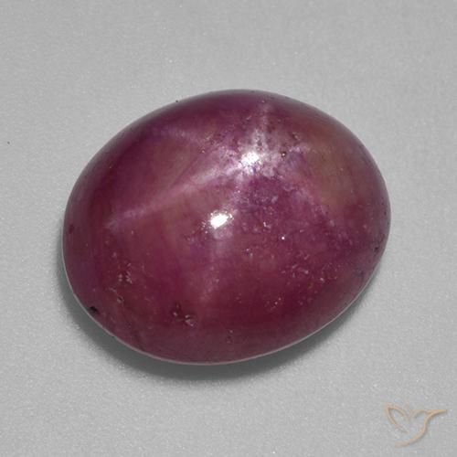 12.45ct Naturel Pourpre prune Rubis étoilé, ovale, Opaque