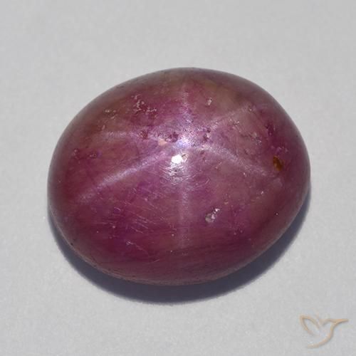 12.55ct Naturel Pourpre moyen Rubis étoilé, ovale, Opaque