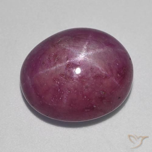 12.54ct Naturel Pourpre prune Rubis étoilé, ovale, Opaque