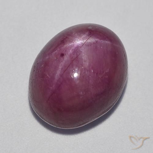 11.42ct Naturel Pourpre moyen-foncé Rubis étoilé, ovale, Opaque