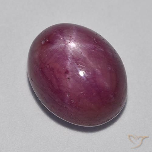 Rubis étoilé Pourpre moyen-foncé naturelle ovale, 11.42 ct, Opaque