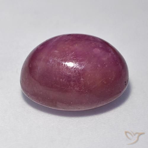 Rubis étoilé Pourpre moyen-foncé naturelle ovale, 11.42 ct, Opaque