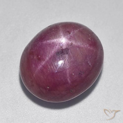 12.08ct Naturel Pourpre moyen-foncé Rubis étoilé, ovale, Opaque