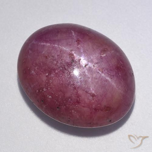 12.56ct Naturel Pourpre moyen-foncé Rubis étoilé, ovale, Opaque