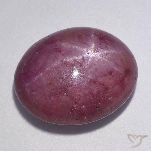 Rubis étoilé Pourpre moyen-foncé naturelle ovale, 12.56 ct, Opaque