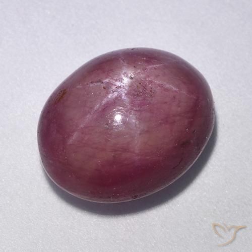 11.40ct Naturel Pourpre moyen Rubis étoilé, ovale, Opaque