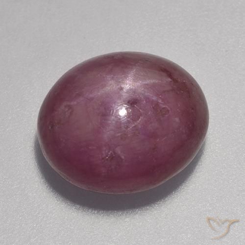 9.23ct Naturel Rouge moyen Rubis étoilé, ovale, Opaque