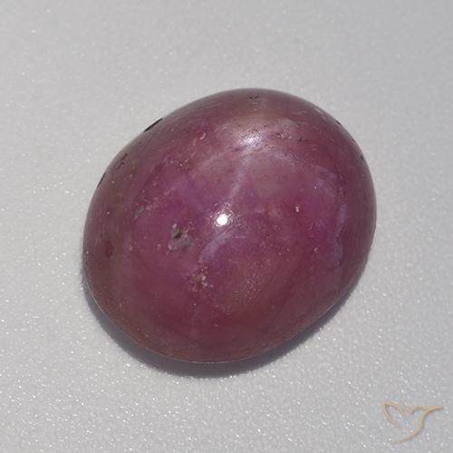 8.41ct Naturel Pourpre moyen-foncé Rubis étoilé, ovale, Opaque